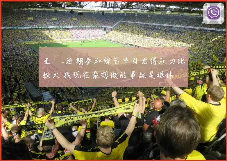 王濛_近期参加综艺节目觉得压力比较大 我现在最想做的事就是退休