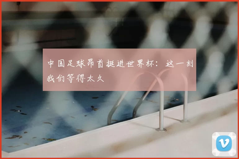 中国足球昂首挺进世界杯:这一刻我们等得太久