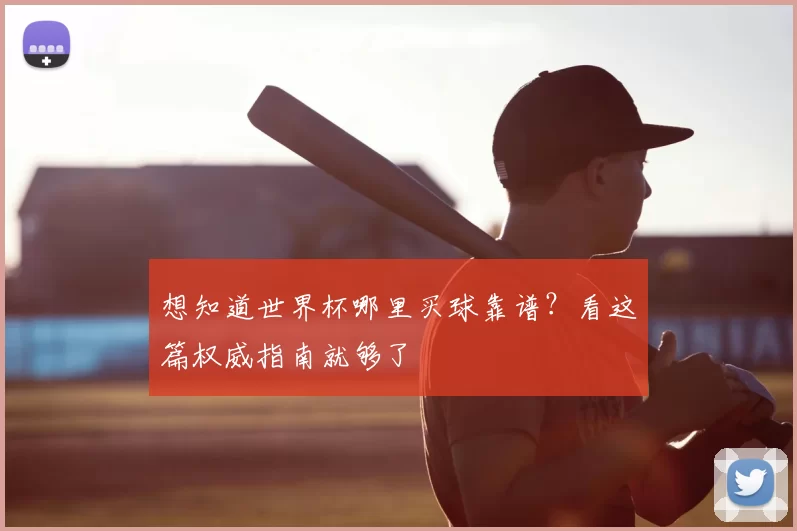 想知道世界杯哪里买球靠谱？看这篇权威指南就够了