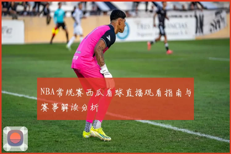 NBA常规赛西瓜看球直播观看指南与赛事解读分析