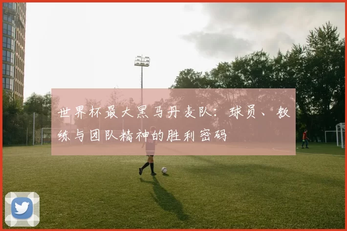 世界杯最大黑马丹麦队:球员、教练与团队精神的胜利密码