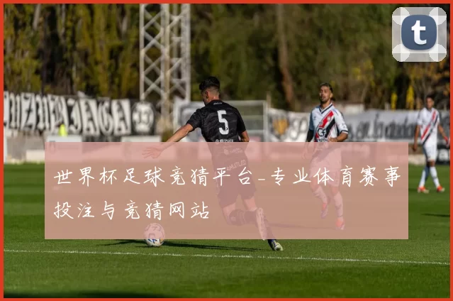 世界杯足球竞猜平台_专业体育赛事投注与竞猜网站