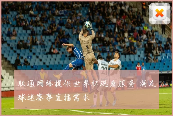 联通网络提供世界杯观看服务 满足球迷赛事直播需求