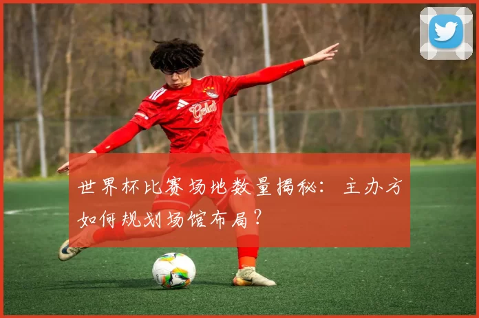 世界杯比赛场地数量揭秘:主办方如何规划场馆布局?