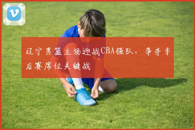 辽宁男篮主场迎战CBA强队，争夺季后赛席位关键战