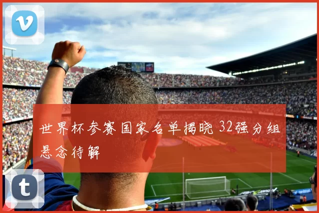世界杯参赛国家名单揭晓 32强分组悬念待解