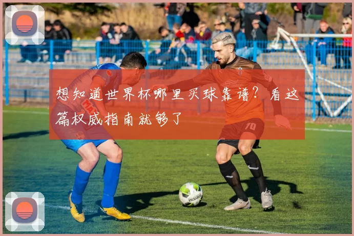 想知道世界杯哪里买球靠谱？看这篇权威指南就够了